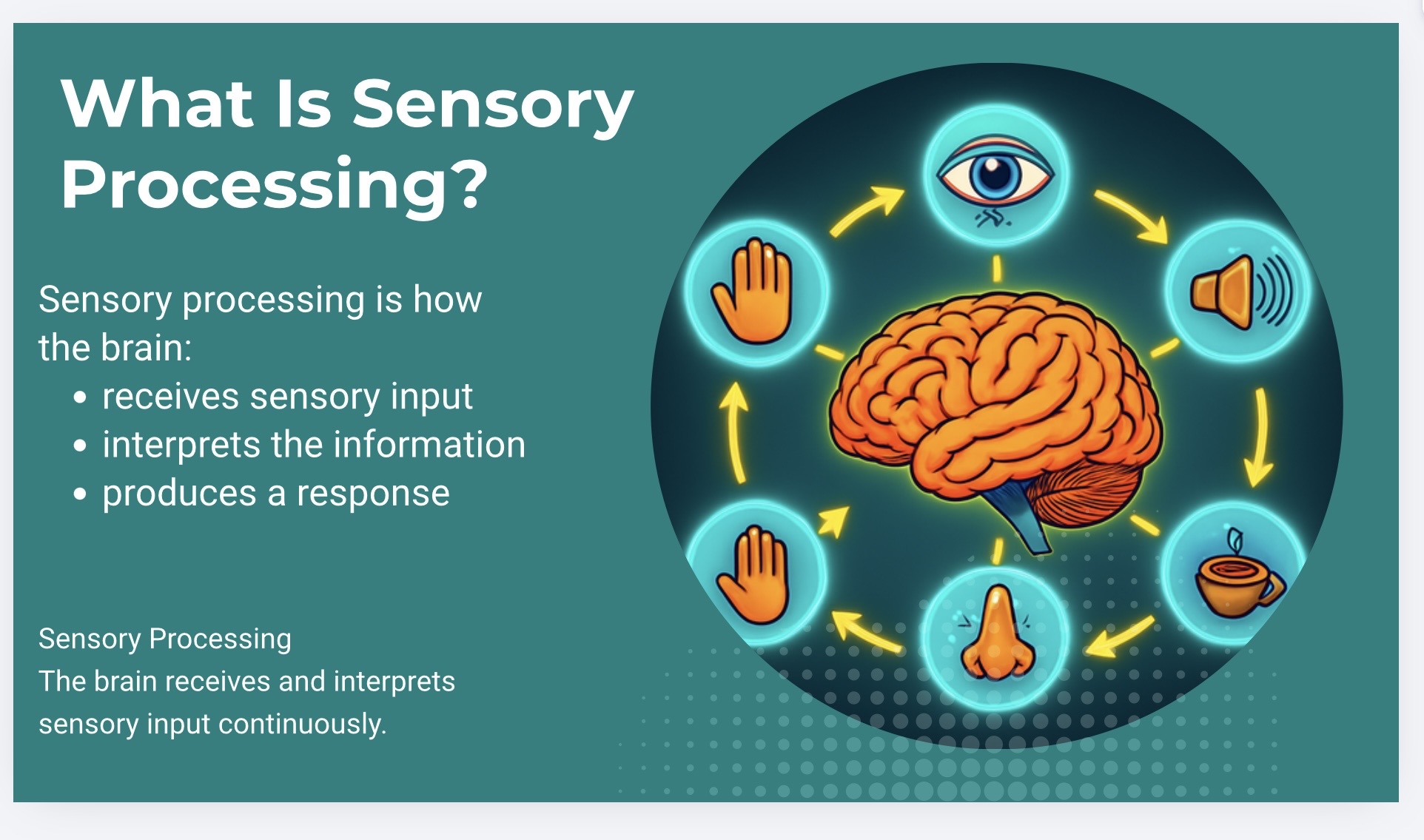 Sensory Processing